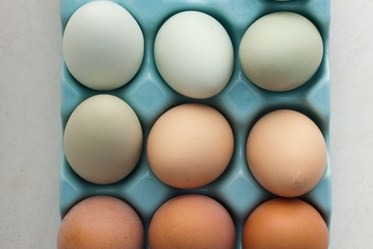 blogs-daily-details-health-eggs-brown-white-620